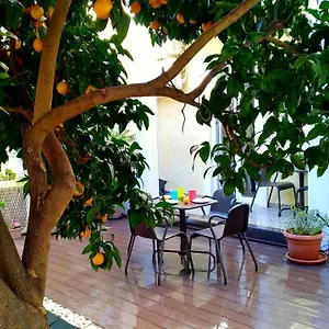 Sunny Orange Garden In Lisboa